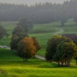 nature:5nor5a-vhpg= background