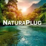 naturaplug.com