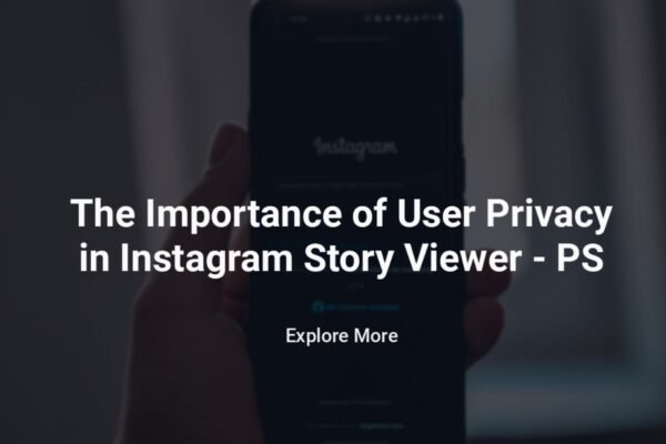 The Importance of User Privacy in Instagram Story Viewer - InstaNavigation