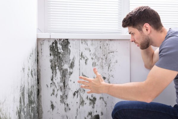 mold prevention