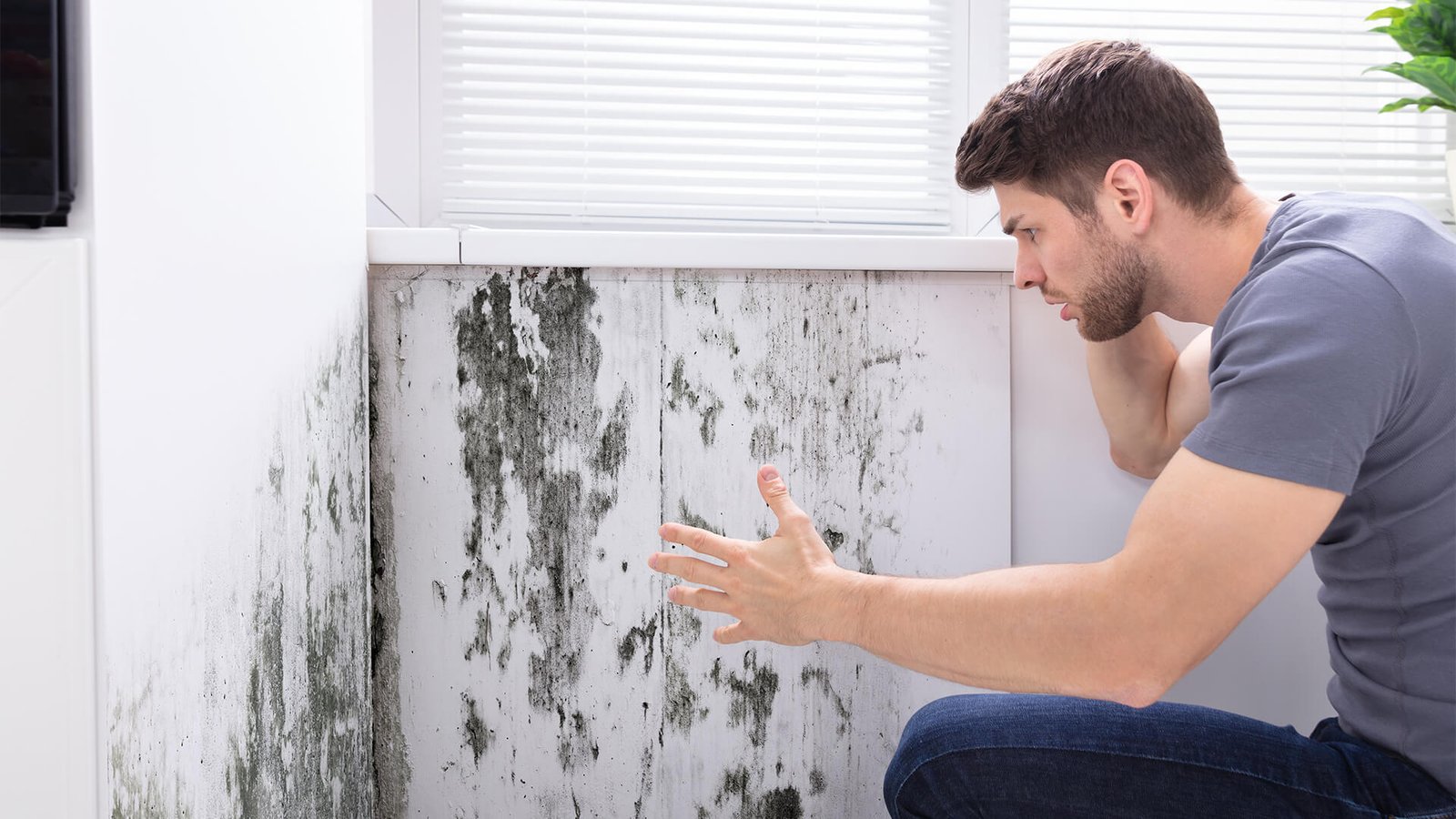 mold prevention