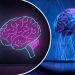 Cerebrum IQ Review