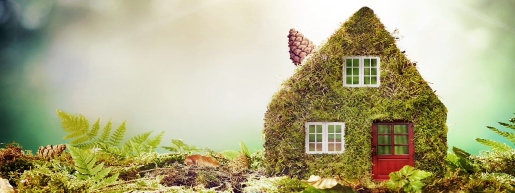 View of Sustainable Home Improvement: Eco-Friendly Upgrades for a Greener Home