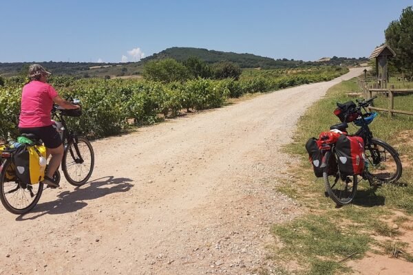 Santiago Ways: Your Perfect Camino Partner – By Foot or Bike